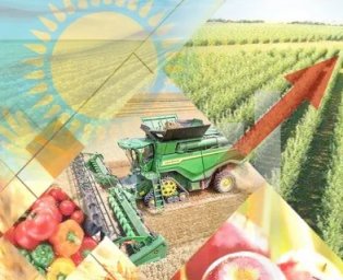 Өңірлік ауыл шаруашылығы жәрмеңкелері &ndash; экономикалық дамуды қолдау тетігі