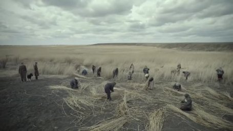 АҚМОЛАДАҒЫ «АЗАП АРАЛЫ»