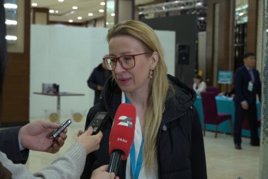 ​Халықаралық байқаушы: &laquo;Қазақстанда референдум ашық әрі жоғары деңгейде өтіп жатыр&raquo;