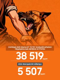 ​Ит тістеуі: медициналық көмекке жүгіну статистикасы