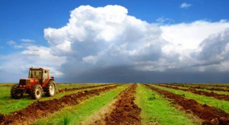 ​ҚАЗАҚСТАНДЫҚТАРҒА АУЫЛ ШАРУАШЫЛЫҒЫ ЖЕРЛЕРІН ЖЕКЕ МЕНШІККЕ БЕРУ МОРАТОРИЙ МЕРЗІМІ 5 ЖЫЛҒА ҰЗАРТЫЛДЫ