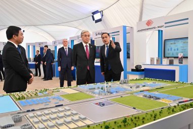 Мемлекет басшысы &laquo;Тараз&raquo; шағын индустриалдық аймағын аралап көрді
