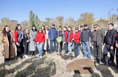 ​Ұлытау облысында 3000-нан аса ағаш отырғызылды