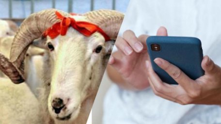 ​МҮФТИЯТ ҚҰРБАН ШАЛУ ТӘРТІБІН ЖАРИЯЛАДЫ